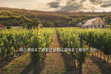 1、喝白酒喝多了難受還是喝紅酒喝多了難受？為什么？