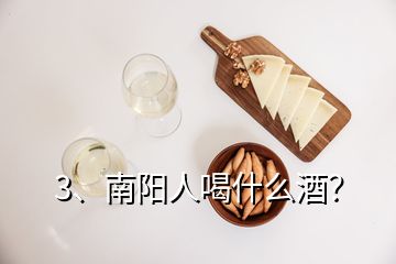 3、南陽人喝什么酒？