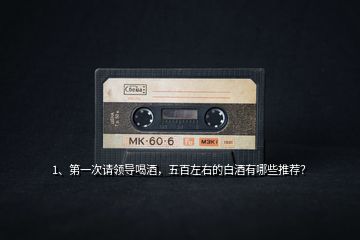 1、第一次請(qǐng)領(lǐng)導(dǎo)喝酒，五百左右的白酒有哪些推薦？
