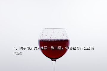 4、向不懂酒的人推薦一款白酒，你會(huì)推薦什么品牌的呢？