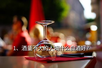 1、酒量不大的人喝什么白酒好？