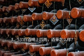 3、53°白酒喝上四兩，酒量怎么樣？