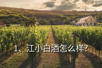 1、江小白酒怎么樣？