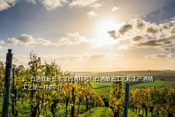 3、白酒就是低濃度的酒精嗎？白酒釀造工藝和生產(chǎn)酒精工藝是一樣的嗎？