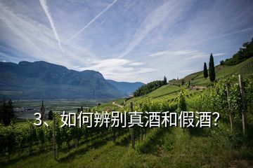 3、如何辨別真酒和假酒？