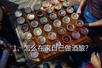 1、怎么在家自己做酒釀？