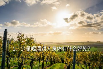 1、少量喝酒對(duì)人身體有什么好處？