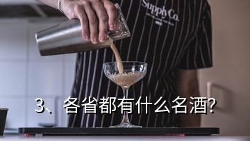 3、各省都有什么名酒？