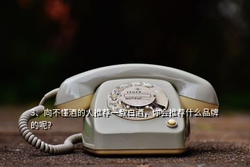 3、向不懂酒的人推薦一款白酒，你會推薦什么品牌的呢？