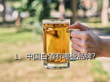 1、中國白酒有哪些品牌？