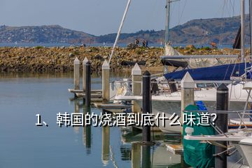 1、韓國的燒酒到底什么味道？