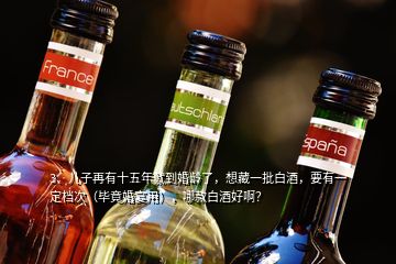 4、想存點(diǎn)白酒15到20年以后喝，有哪些有收藏價(jià)值的酒推薦？