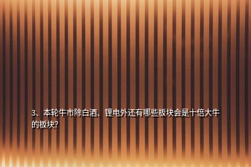 3、本輪牛市除白酒、鋰電外還有哪些板塊會是十倍大牛的板塊？