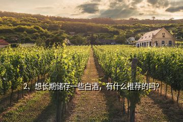 2、想長(zhǎng)期儲(chǔ)存一些白酒，有什么推薦的嗎？