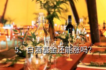 5、白酒基金還能漲嗎？