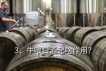 3、牛喂白酒起啥作用？