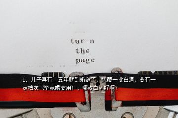 1、兒子再有十五年就到婚齡了，想藏一批白酒，要有一定檔次（畢竟婚宴用），哪款白酒好啊？