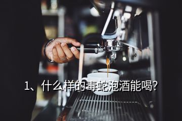 1、什么樣的毒蛇泡酒能喝？