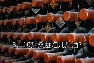 3、10斤桑葚泡幾斤酒？