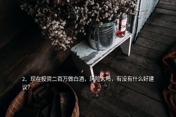 2、現(xiàn)在投資二百萬(wàn)做白酒，風(fēng)險(xiǎn)大嗎，有沒(méi)有什么好建議？