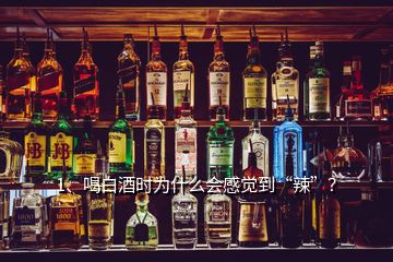 1、喝白酒時為什么會感覺到“辣”？