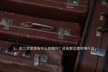 3、去三亞旅游有什么攻略嗎？還有那邊喜歡喝什么酒？