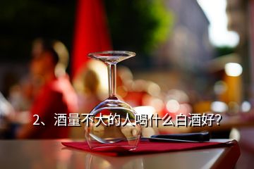 2、酒量不大的人喝什么白酒好？