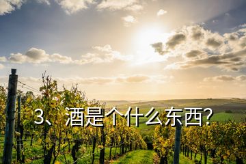 3、酒是個什么東西？