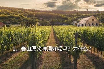 1、泰山原漿啤酒好喝嗎？為什么？