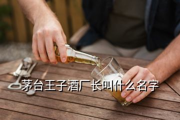 茅臺(tái)王子酒廠長(zhǎng)叫什么名字