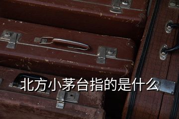 北方小茅臺(tái)指的是什么