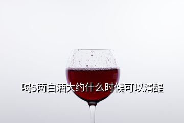 喝5兩白酒大約什么時候可以清醒