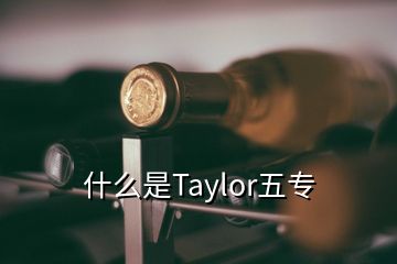 什么是Taylor五專