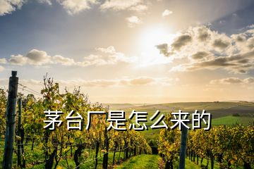 茅臺(tái)廠是怎么來(lái)的