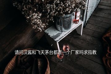 請(qǐng)問漢醬和飛天茅臺(tái)都是一個(gè)廠家嗎求指教