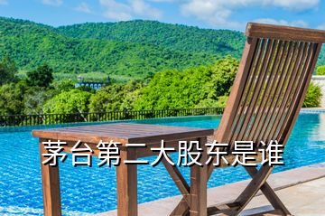 茅臺(tái)第二大股東是誰(shuí)