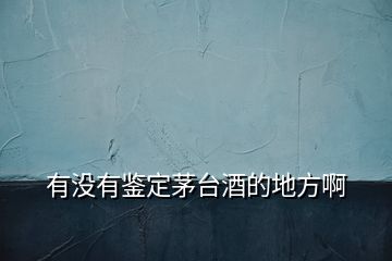 有沒有鑒定茅臺酒的地方啊