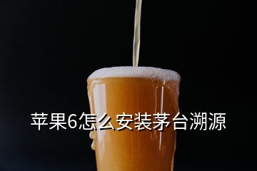 蘋果6怎么安裝茅臺(tái)溯源