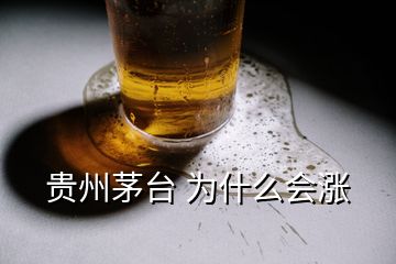 貴州茅臺(tái) 為什么會(huì)漲