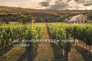 我有一瓶1974年份的貴州茅臺國寶酒廠的招待酒53度500ml有高手