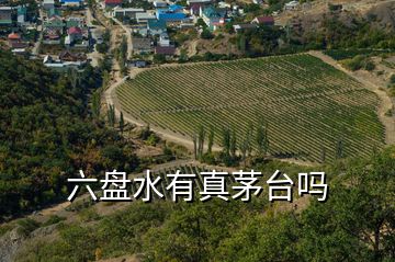 六盤水有真茅臺(tái)嗎