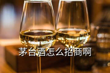 茅臺(tái)酒怎么招商啊