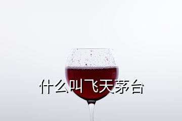 什么叫飛天茅臺