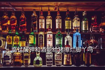 高錳酸鉀和酒能給豬擦爛腳丫嗎