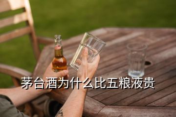 茅臺(tái)酒為什么比五糧液貴