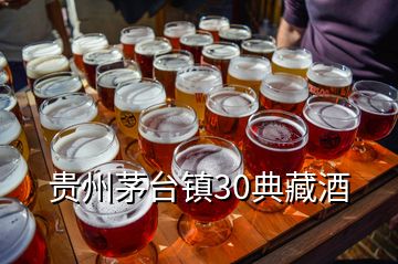 貴州茅臺鎮(zhèn)30典藏酒