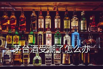 茅臺(tái)酒受潮了怎么辦