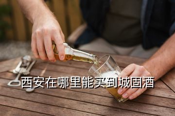 西安在哪里能買到城固酒