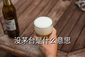 沒茅臺是什么意思