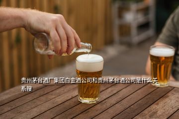 貴州茅臺酒廠集團白金酒公司和貴州茅臺酒公司是什么關(guān)系搜